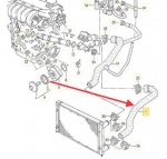 SP 1H0121051F - lower Rad Hose VR6